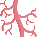 Peripheral Arterial Disease 